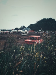 A red car is partially visible through tall grass, participating in what appears to be a rally or off-road event. Numerous people are gathered in the background, some standing under tents. There is a white car nearby, and forested hills are visible in the distance.