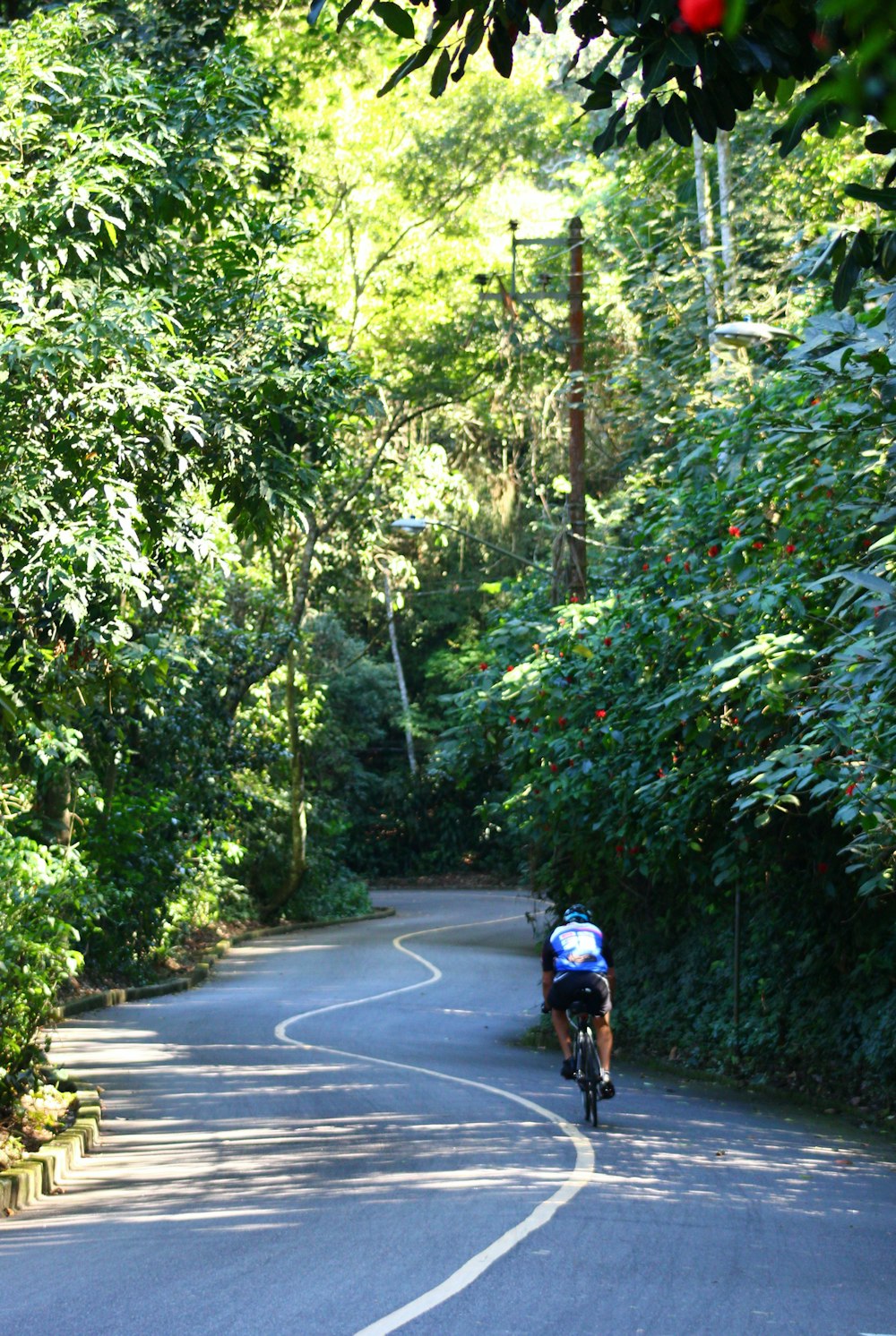 man in black jacket riding bicycle on gray asphalt road during daytime