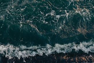 Dark ocean water with visible waves and white sea foam. Light reflections create golden highlights on the water surface.