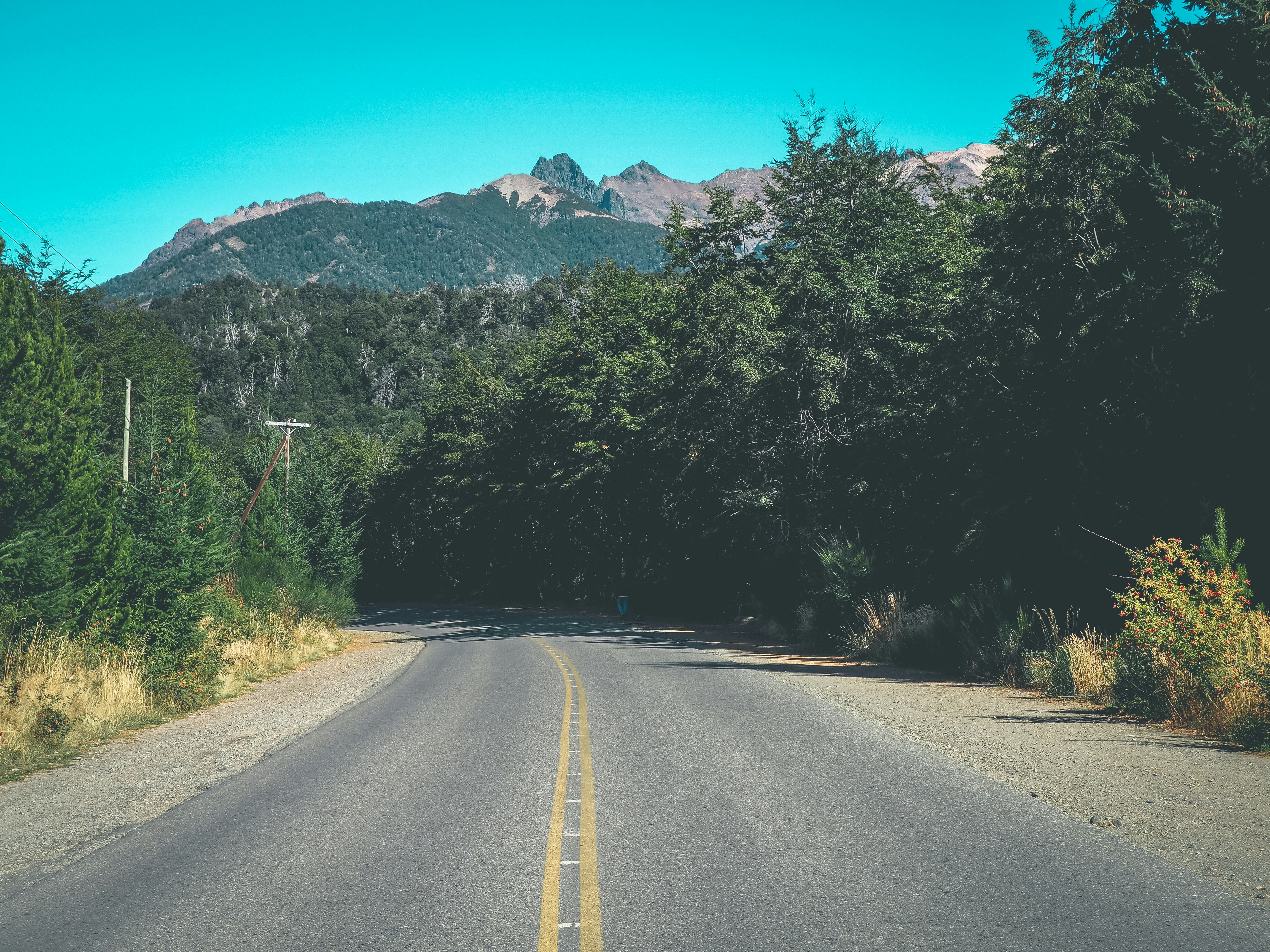 gray concrete road between green trees during daytime, 