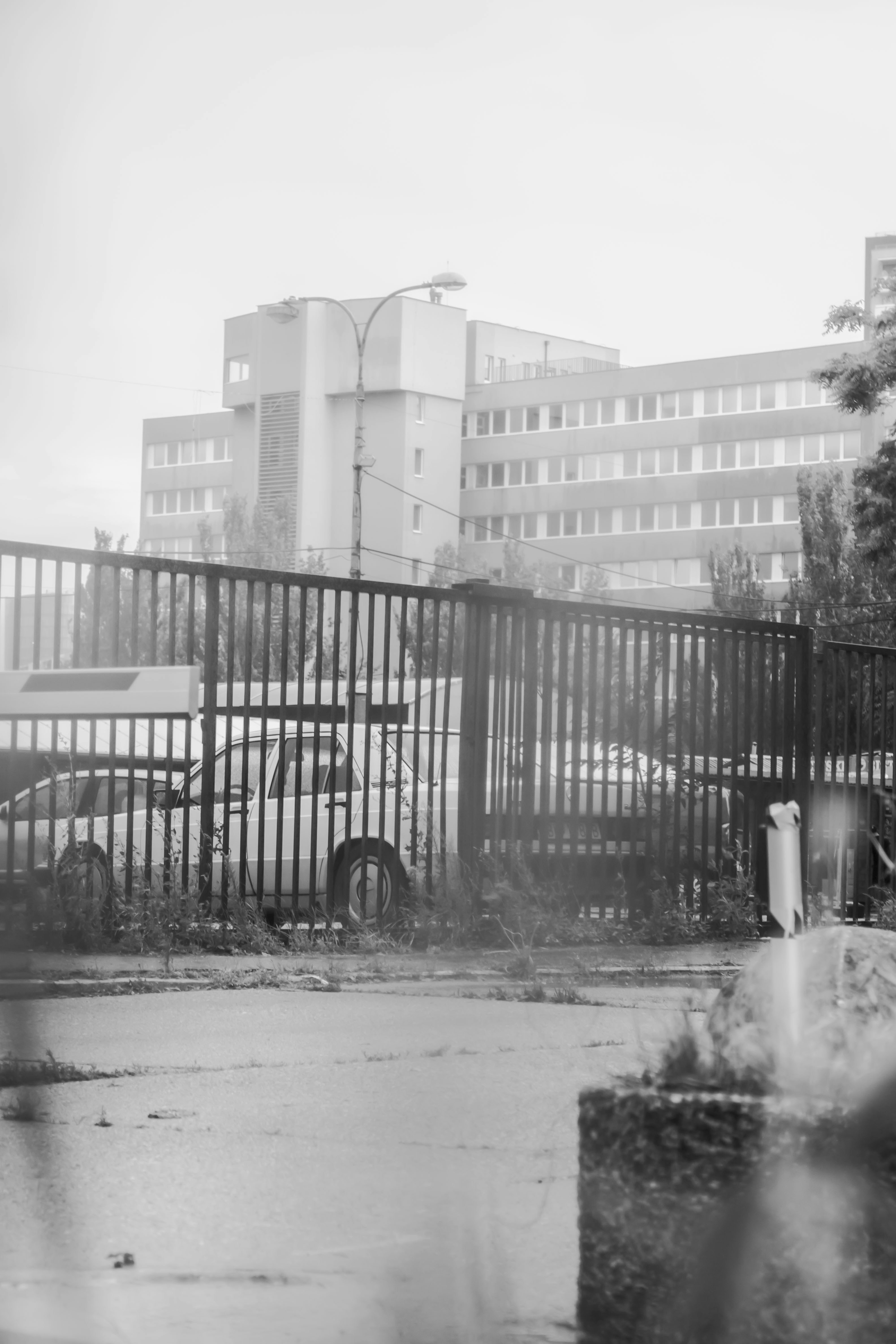 Photo by viktor_vilyus