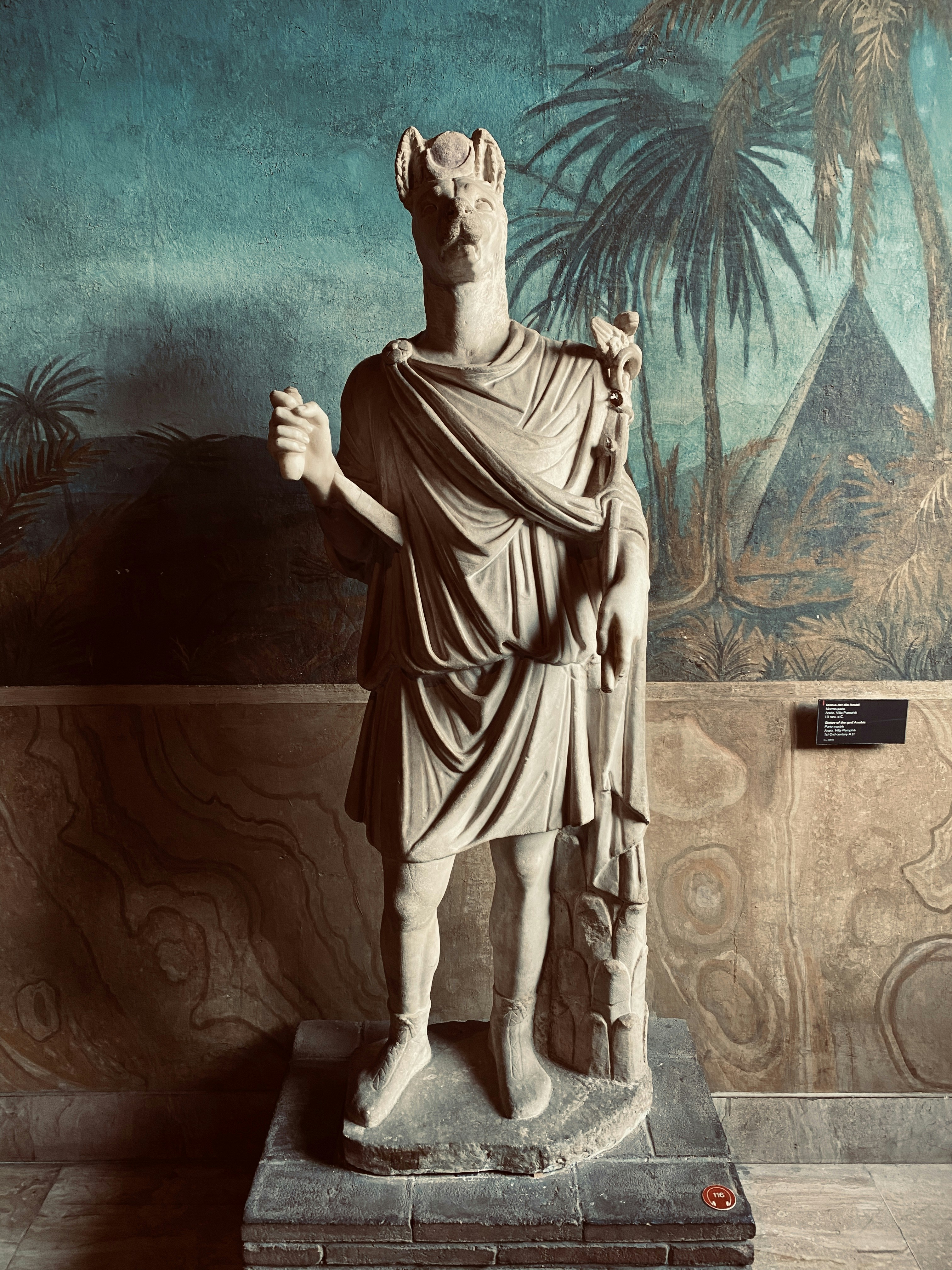 Photo by michelsilva