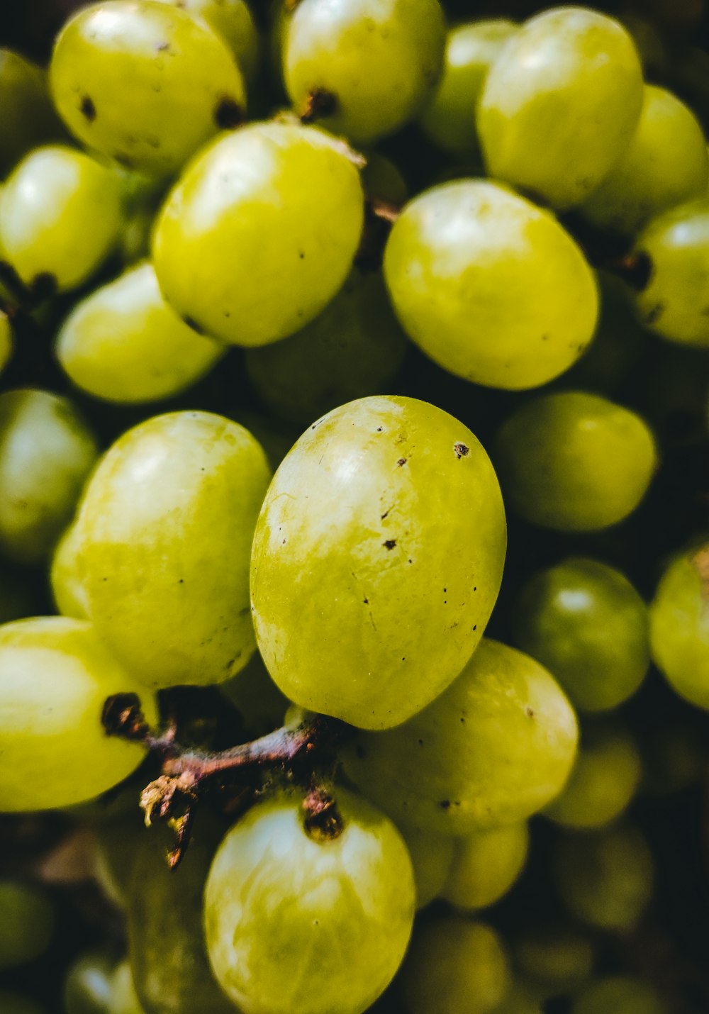 green round fruits in close up photography