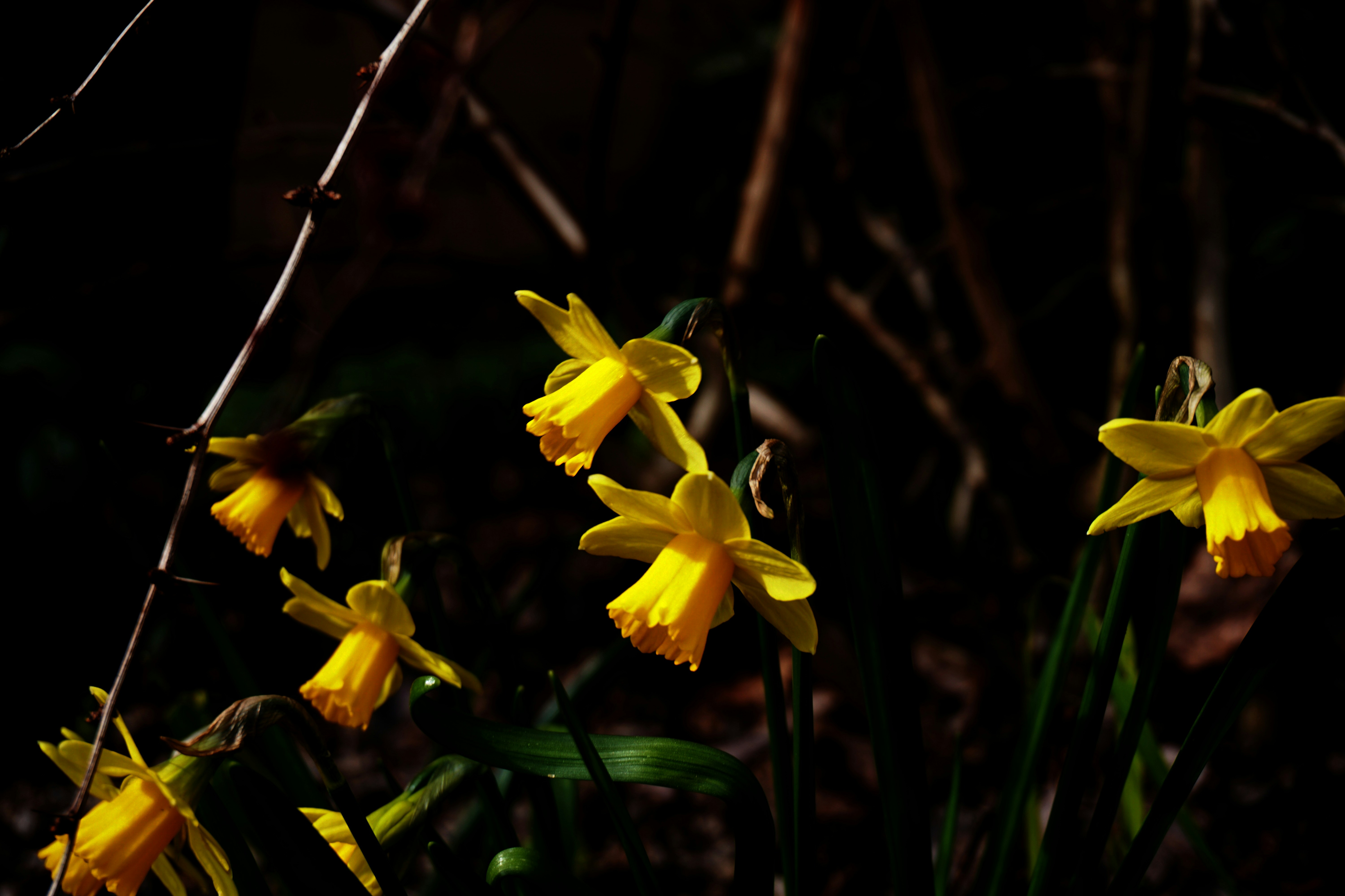 Photo by sarahjickling