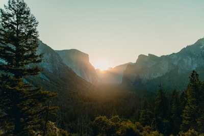 The winding trails of Pahalgam valley surrounded by towering pines and distant mountain peaks glowing in golden light.