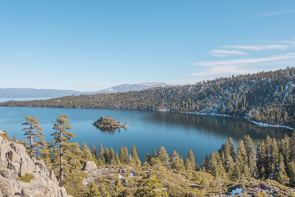 blue lake surrounded by green trees under blue sky during daytime