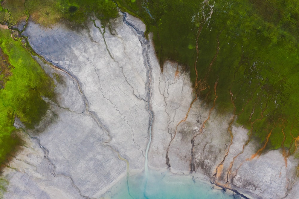 alberi verdi accanto allo specchio d'acqua durante il giorno