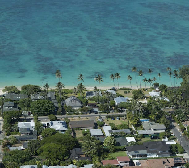 aerial view of beach during daytime