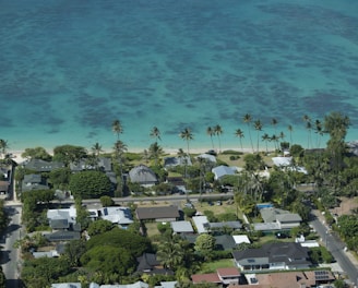 aerial view of beach during daytime