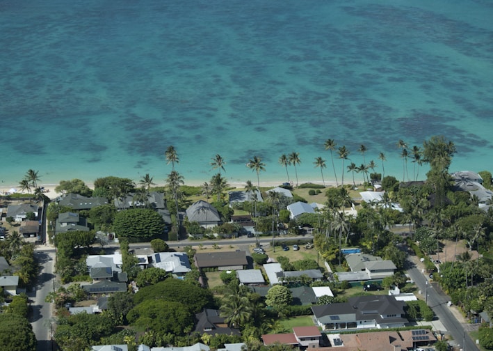 aerial view of beach during daytime