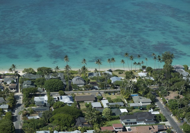 aerial view of beach during daytime