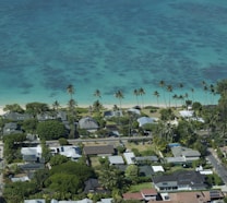 aerial view of beach during daytime