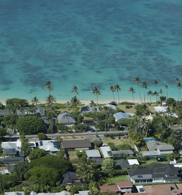 aerial view of beach during daytime