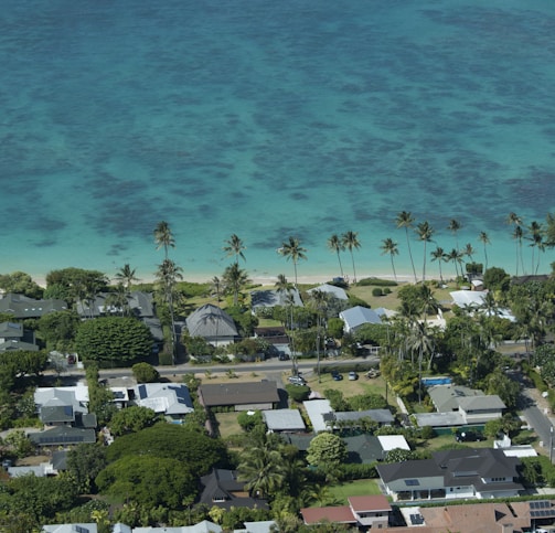 aerial view of beach during daytime