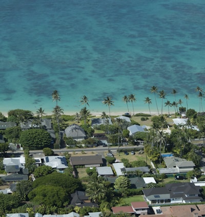 aerial view of beach during daytime