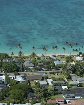 aerial view of beach during daytime