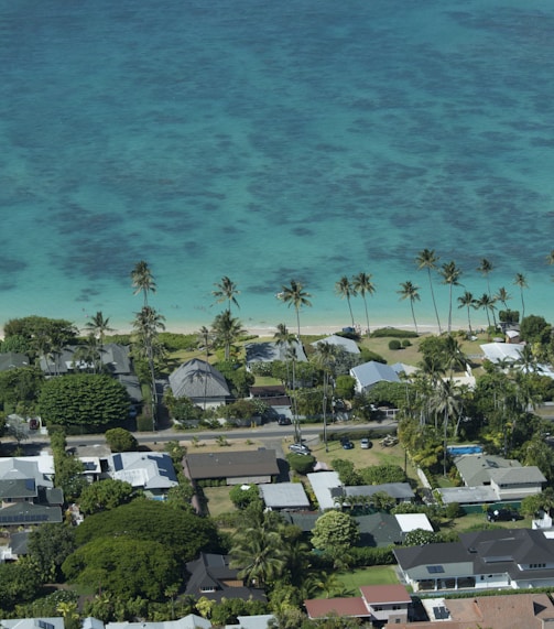 aerial view of beach during daytime