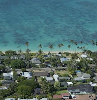 aerial view of beach during daytime