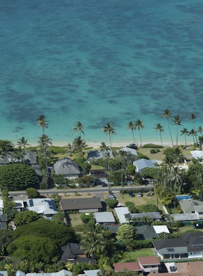 aerial view of beach during daytime