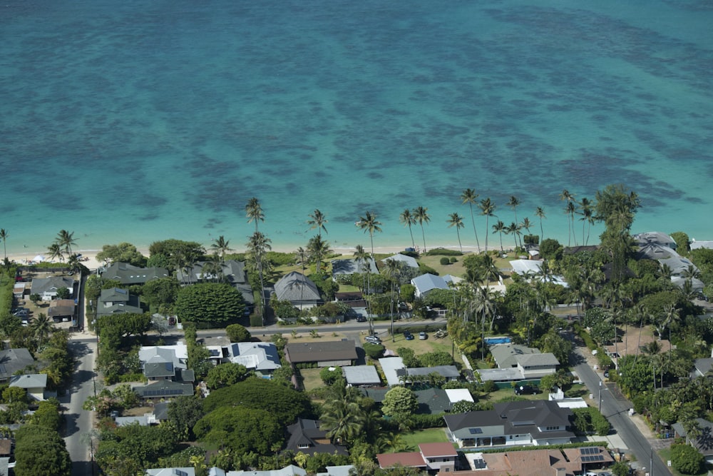 aerial view of beach during daytime