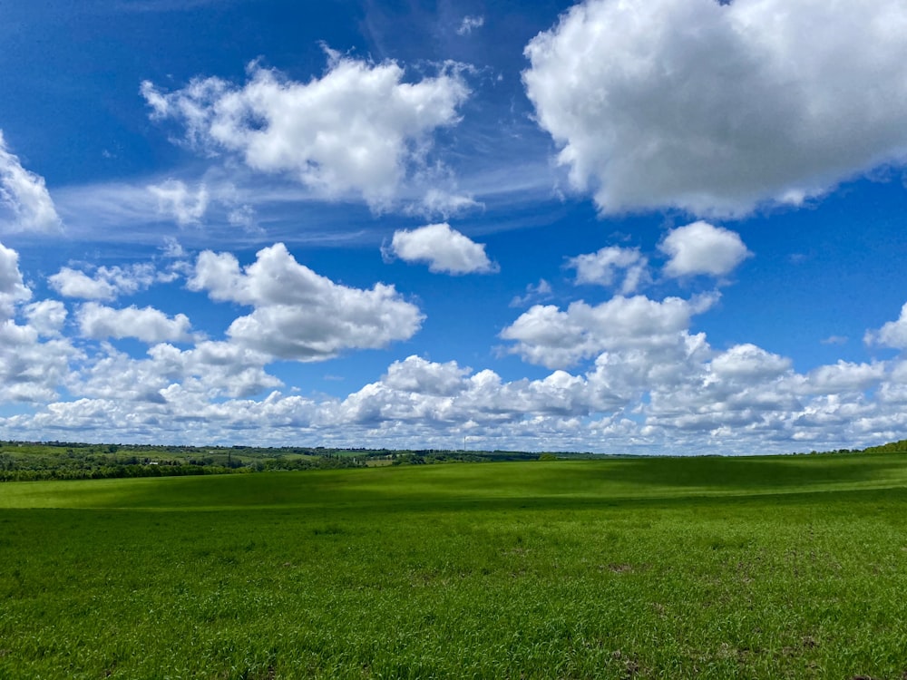 Grünes Grasfeld unter blauem Himmel und weißen Wolken tagsüber