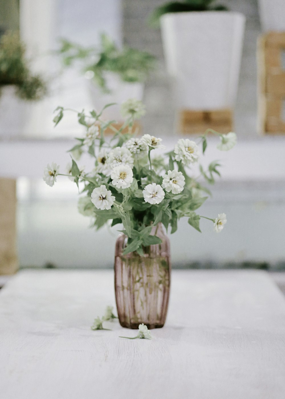 white flowers in brown wooden vase
