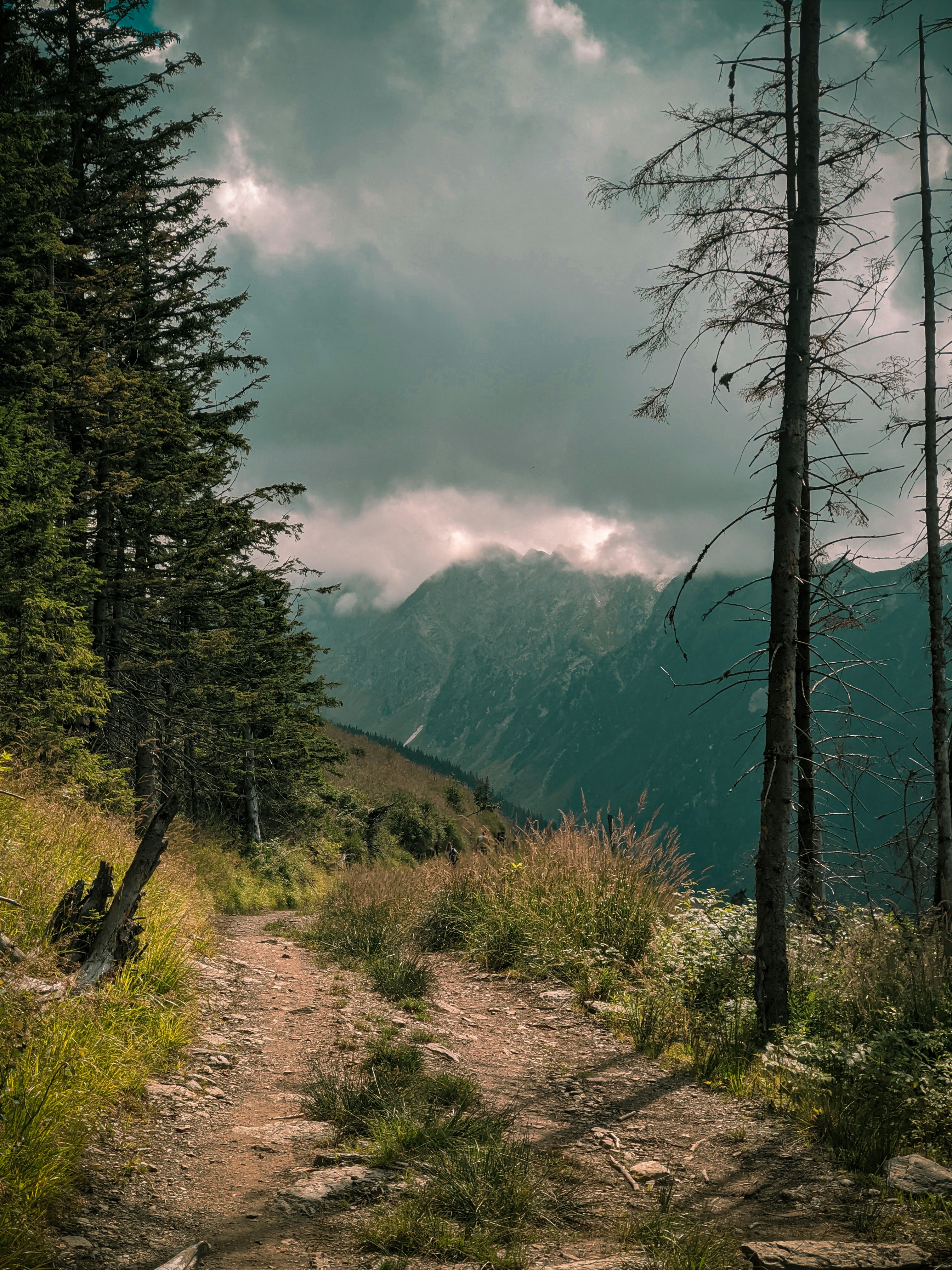 Photo by georgeirinel13