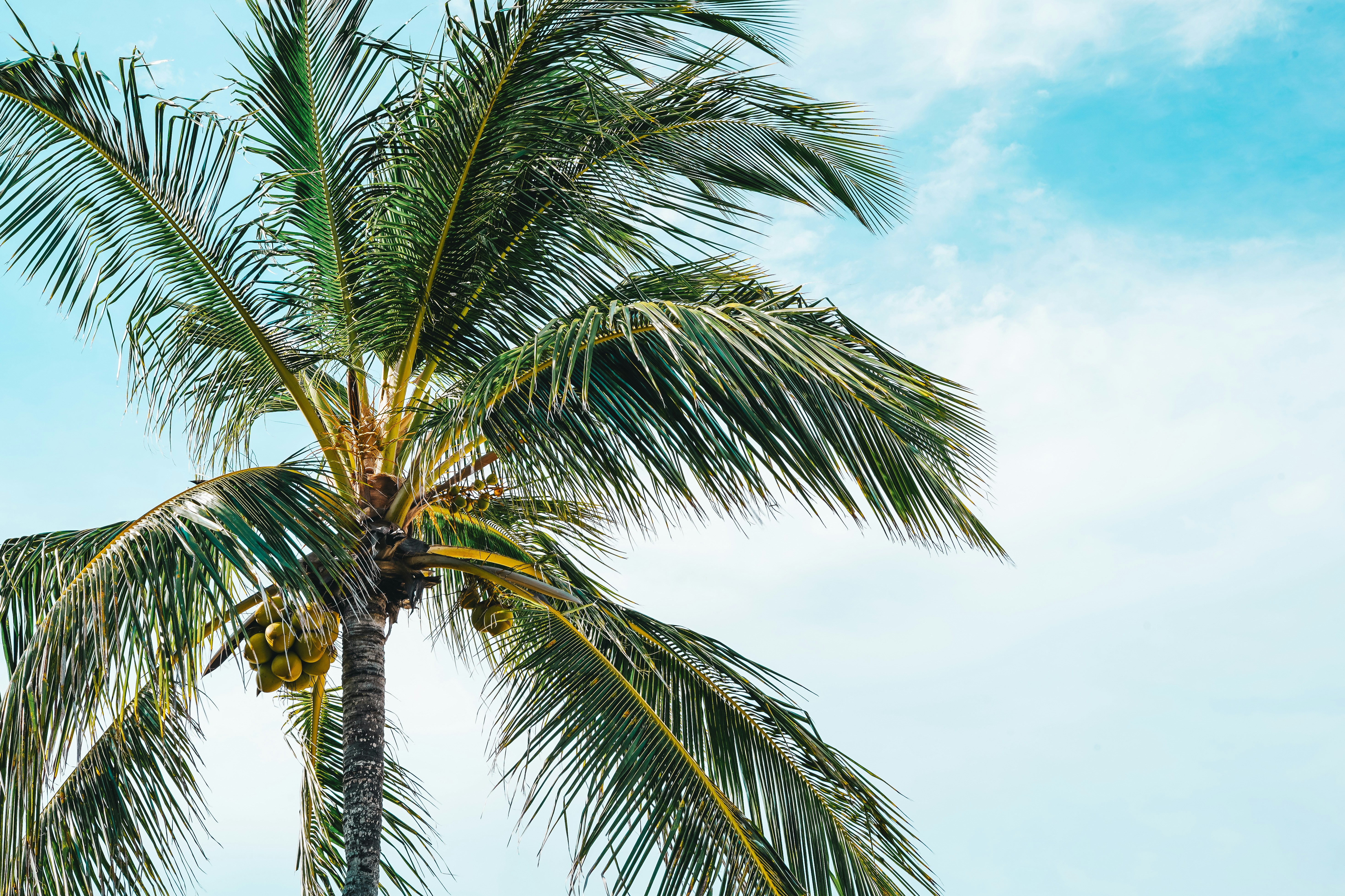 Photo by travelwithlace