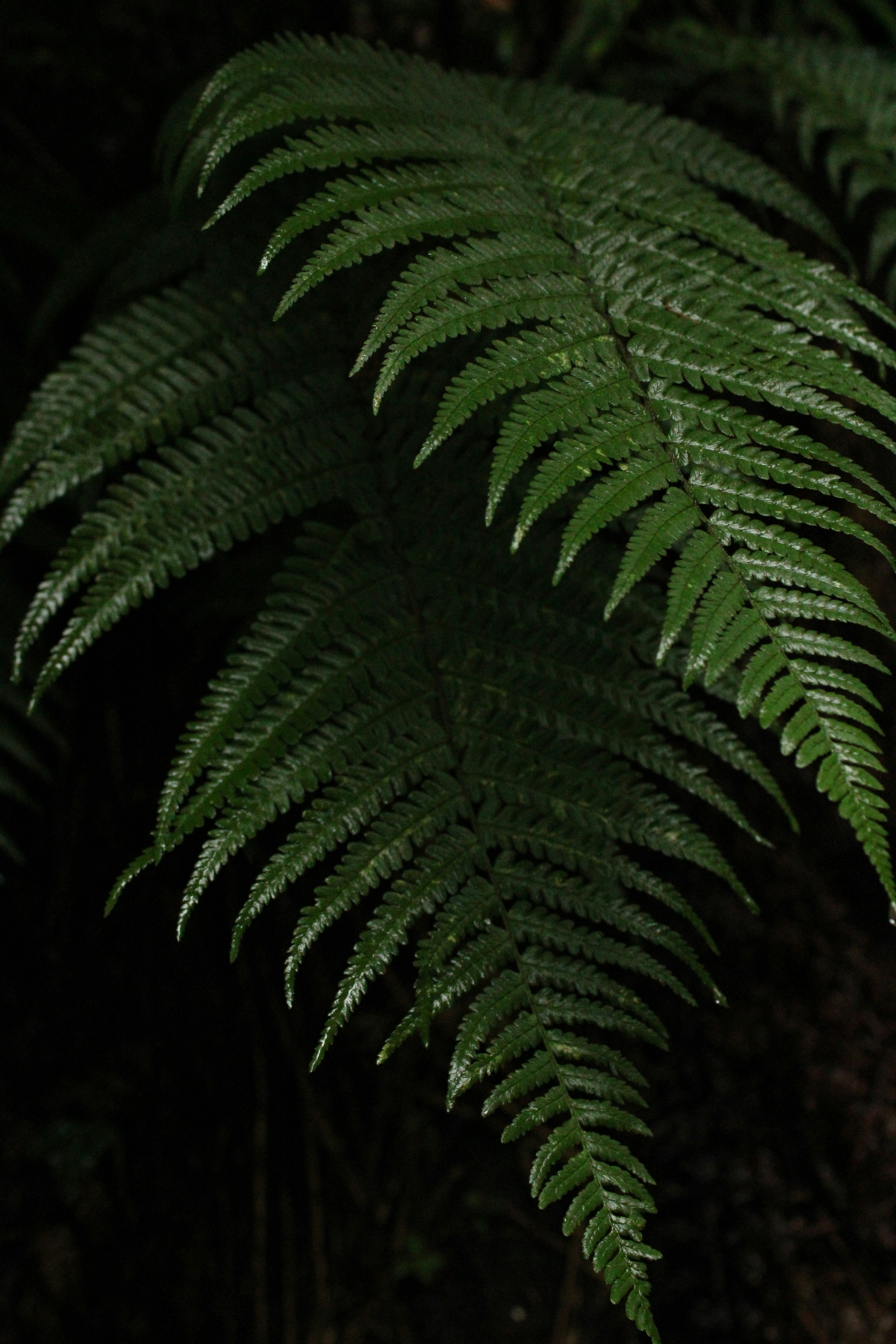 Photo by every_small_step_