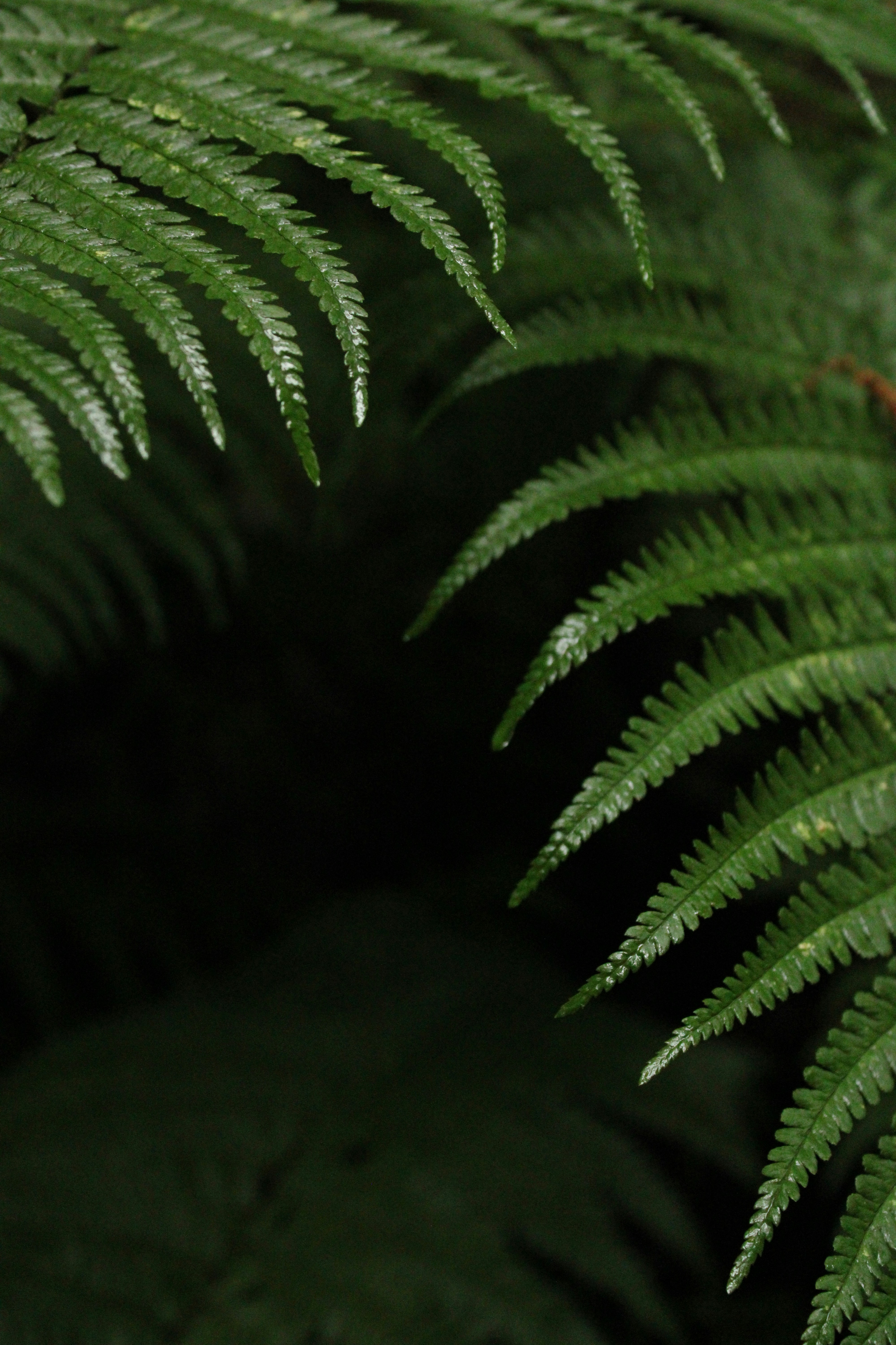 Photo by every_small_step_