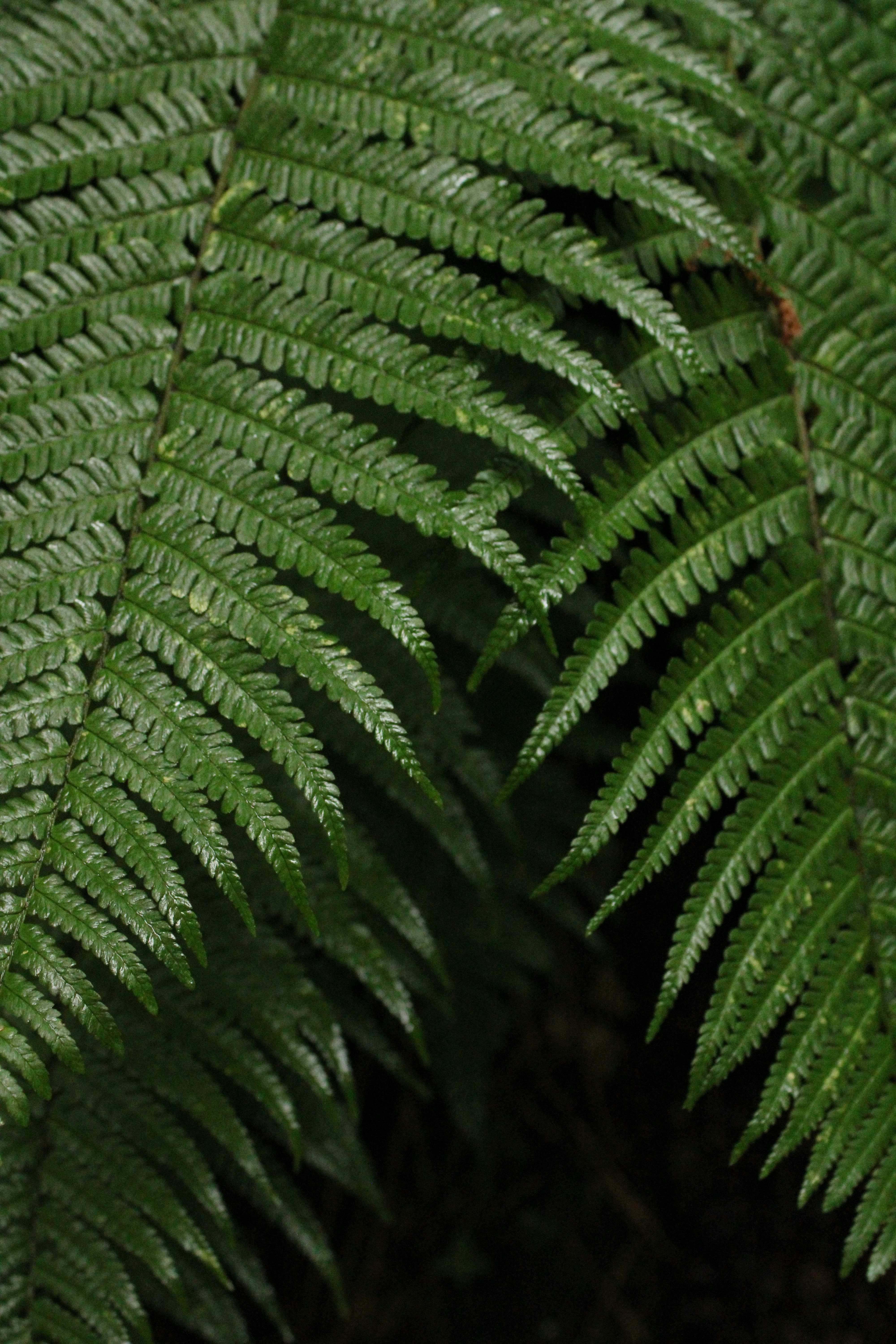 Photo by every_small_step_