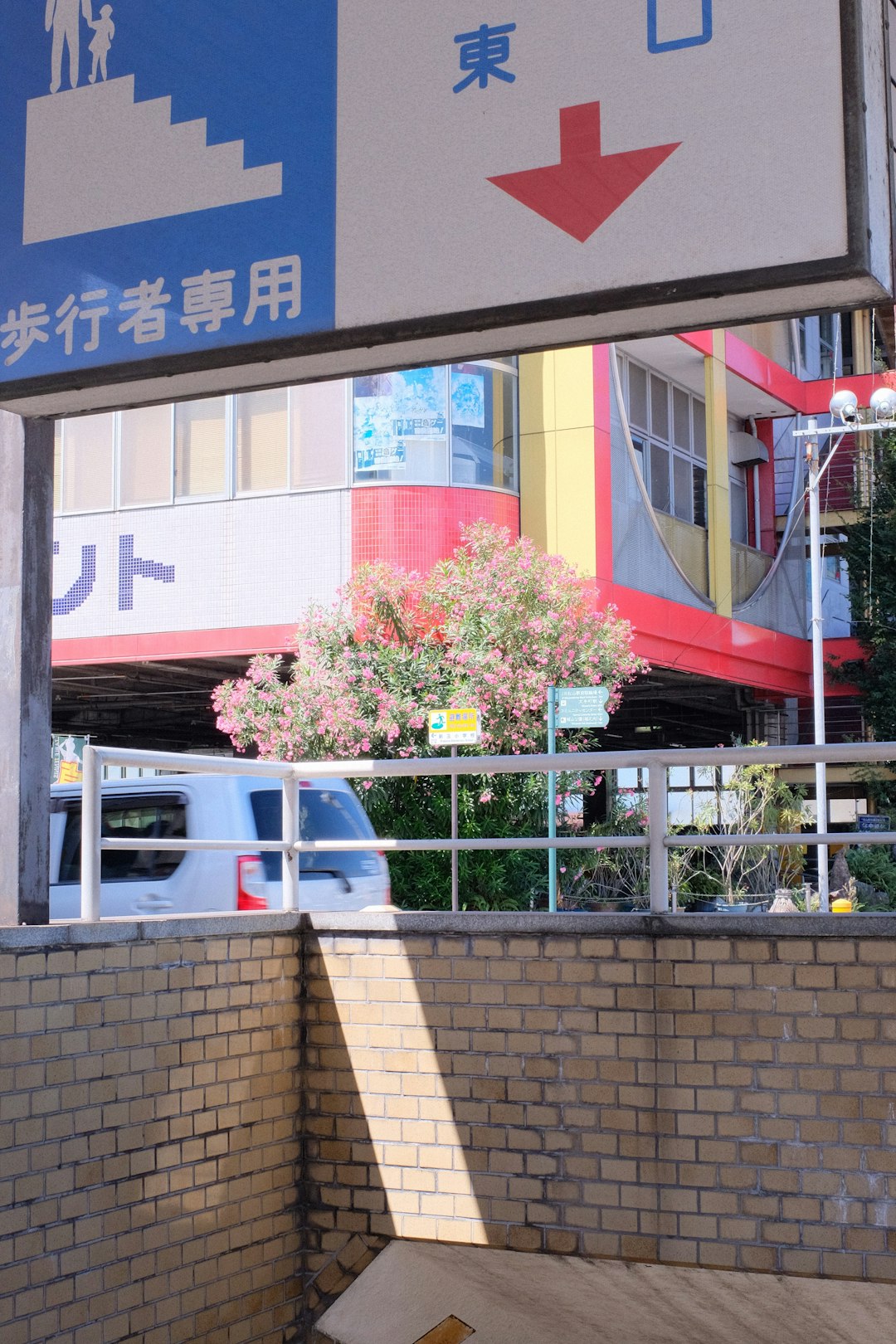 white van parked beside red and yellow flowers