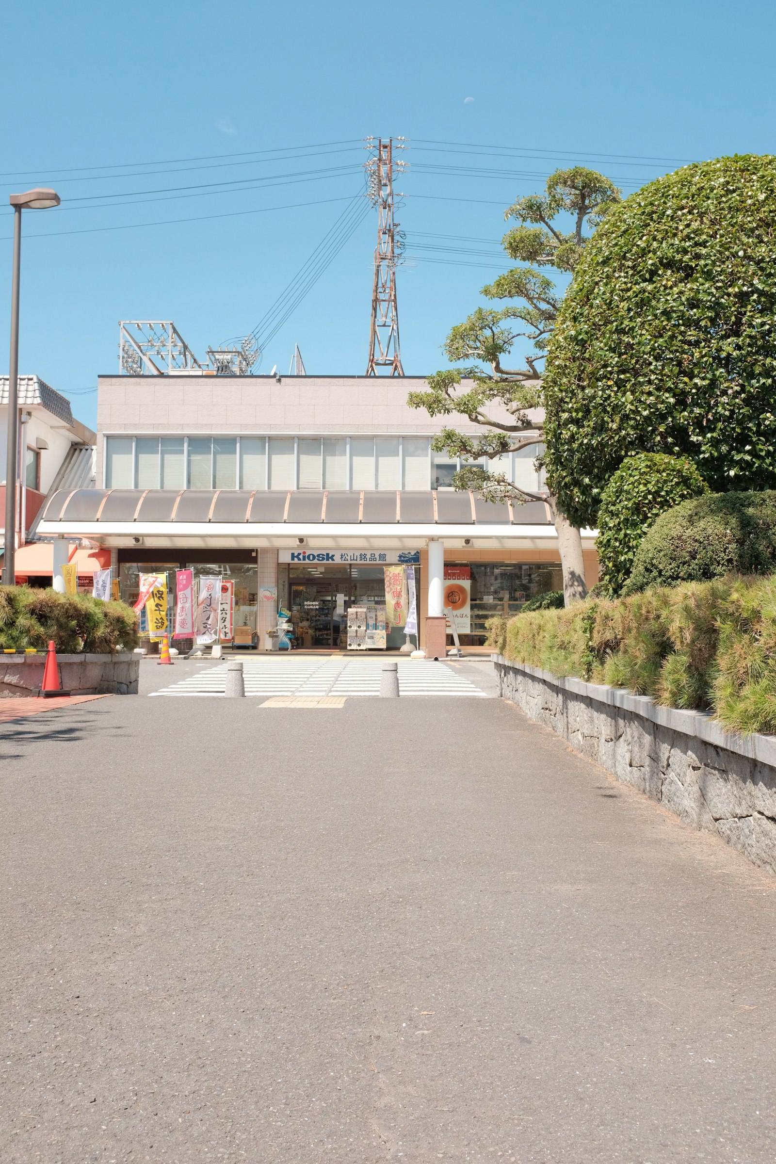 Fujifilm X100F sample photo. Green trees in front photography