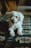 white poodle puppy on black asphalt road during daytime