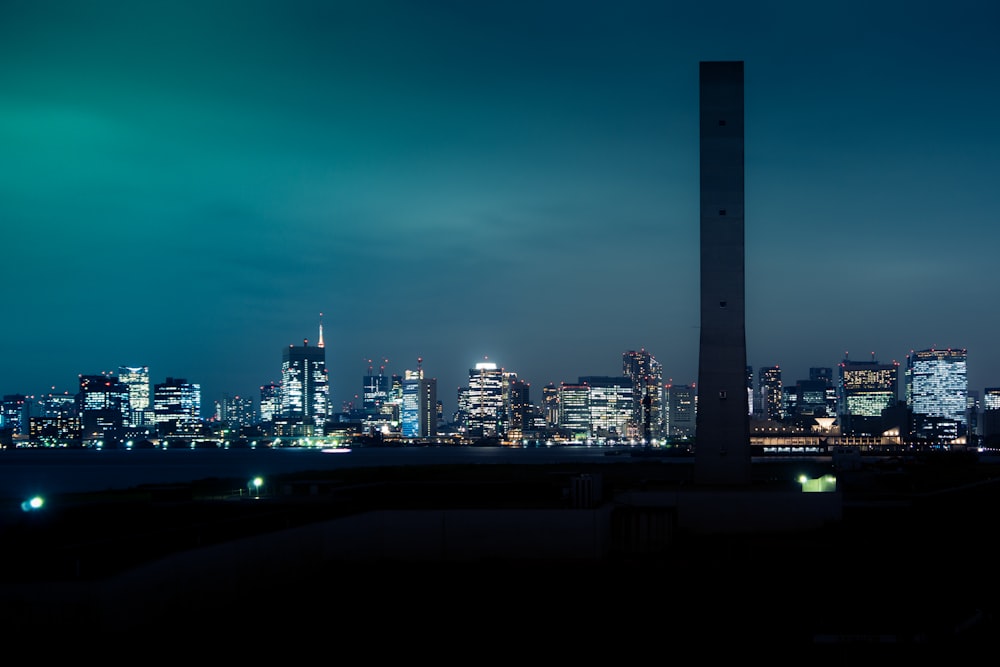 city skyline during night time