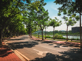 Descubra o Site Avenne Brasil e Suas Vantagens