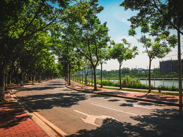 Descubra o Site Avenne Brasil e Suas Vantagens