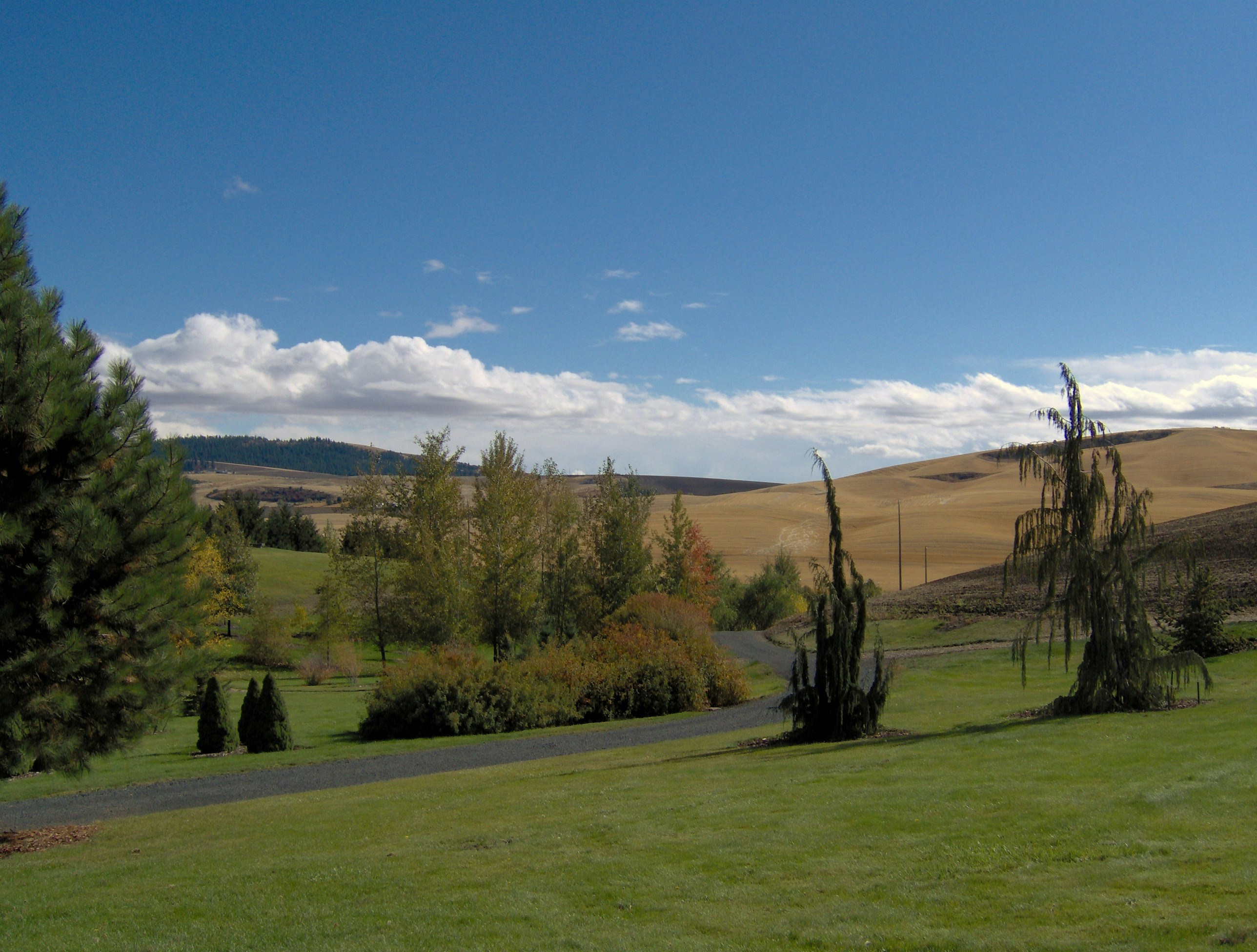 Explore Our Unique Tours