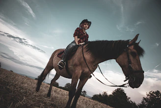 A model wearing a classic cowboy hat and plaid shirt standing against a backdrop of open fields at sunset