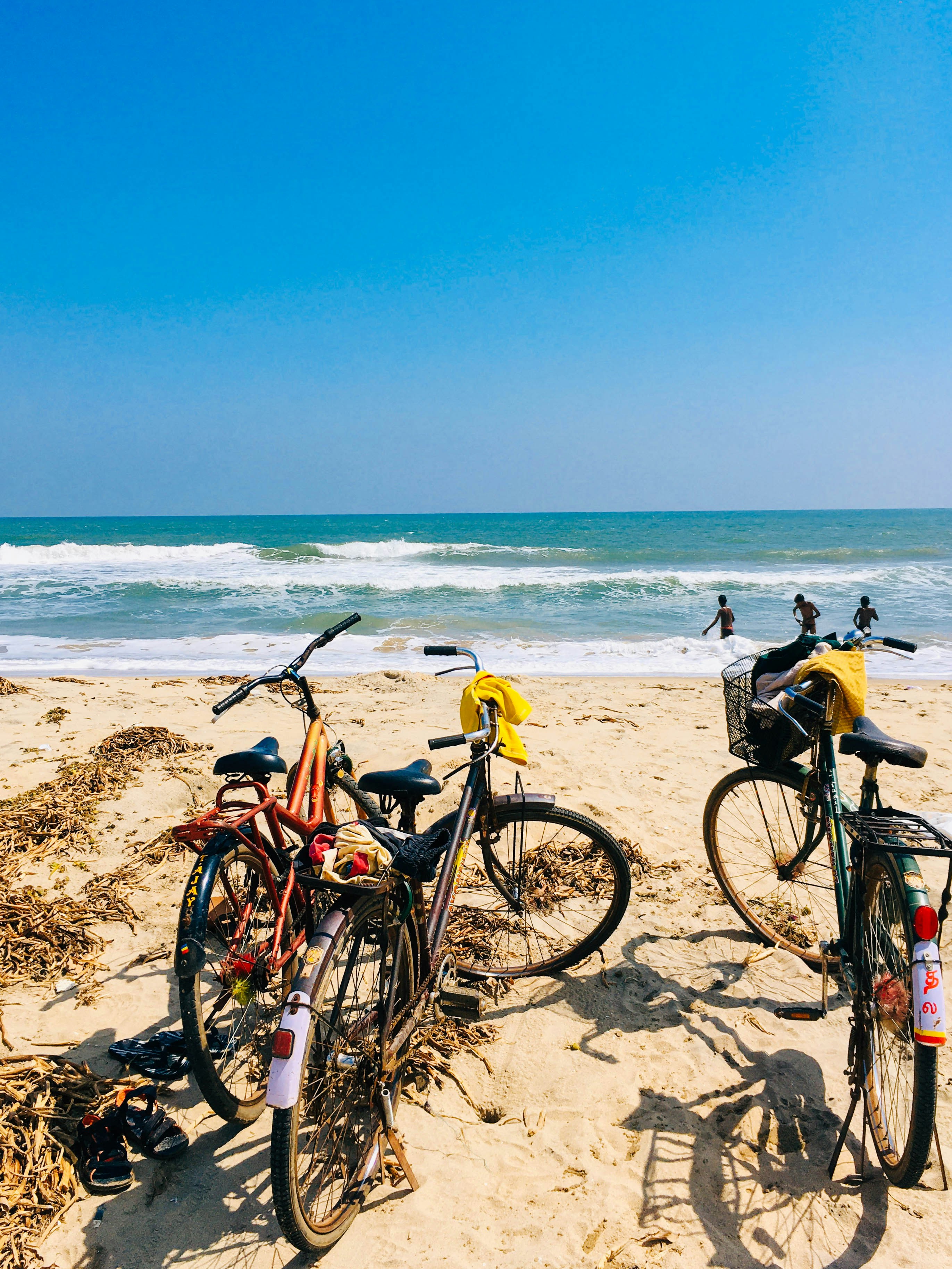 Bicycles parked on beach shore during daytime photo – Free Blue Image ...