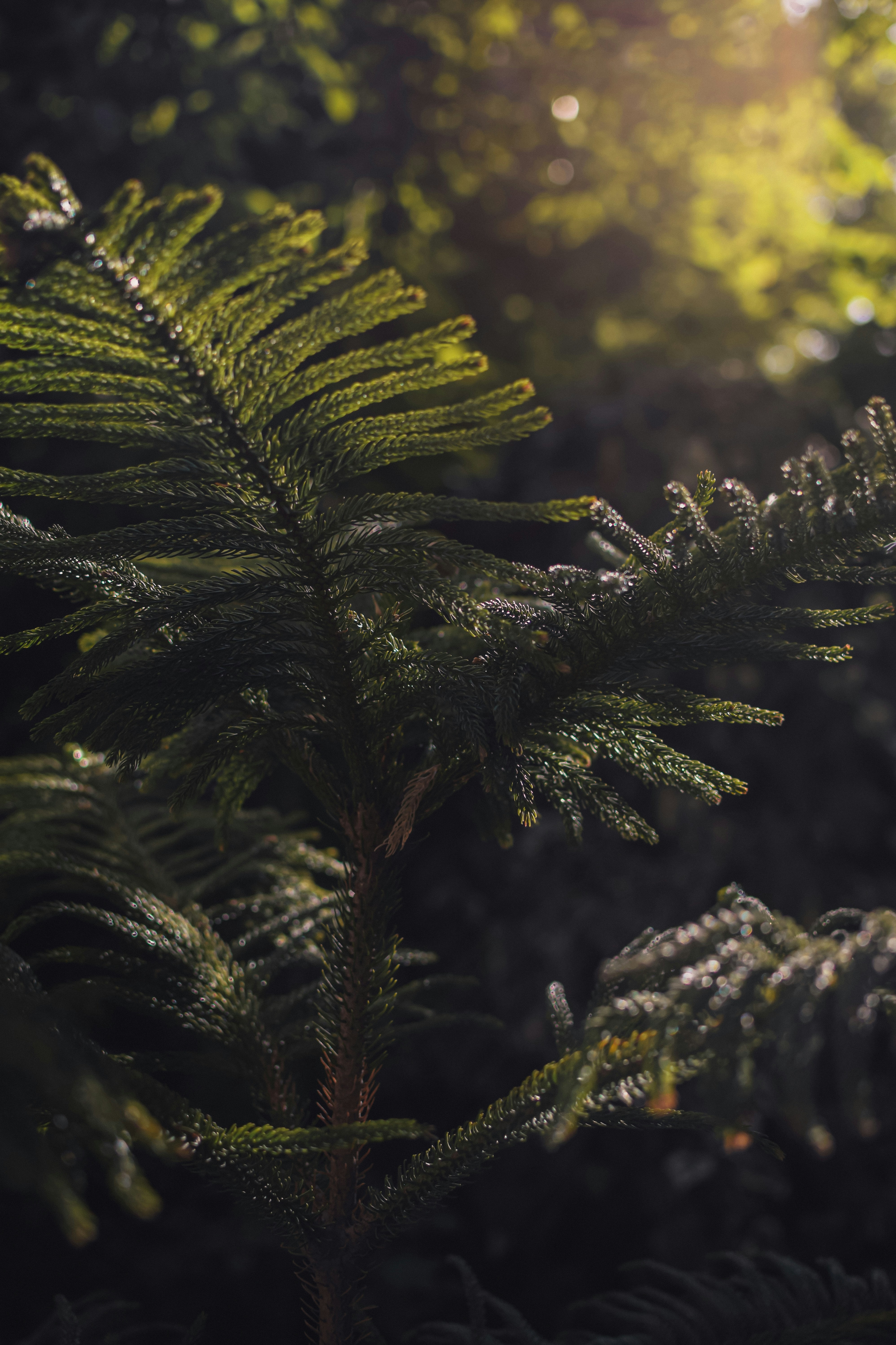 Photo by pouriaoskuie