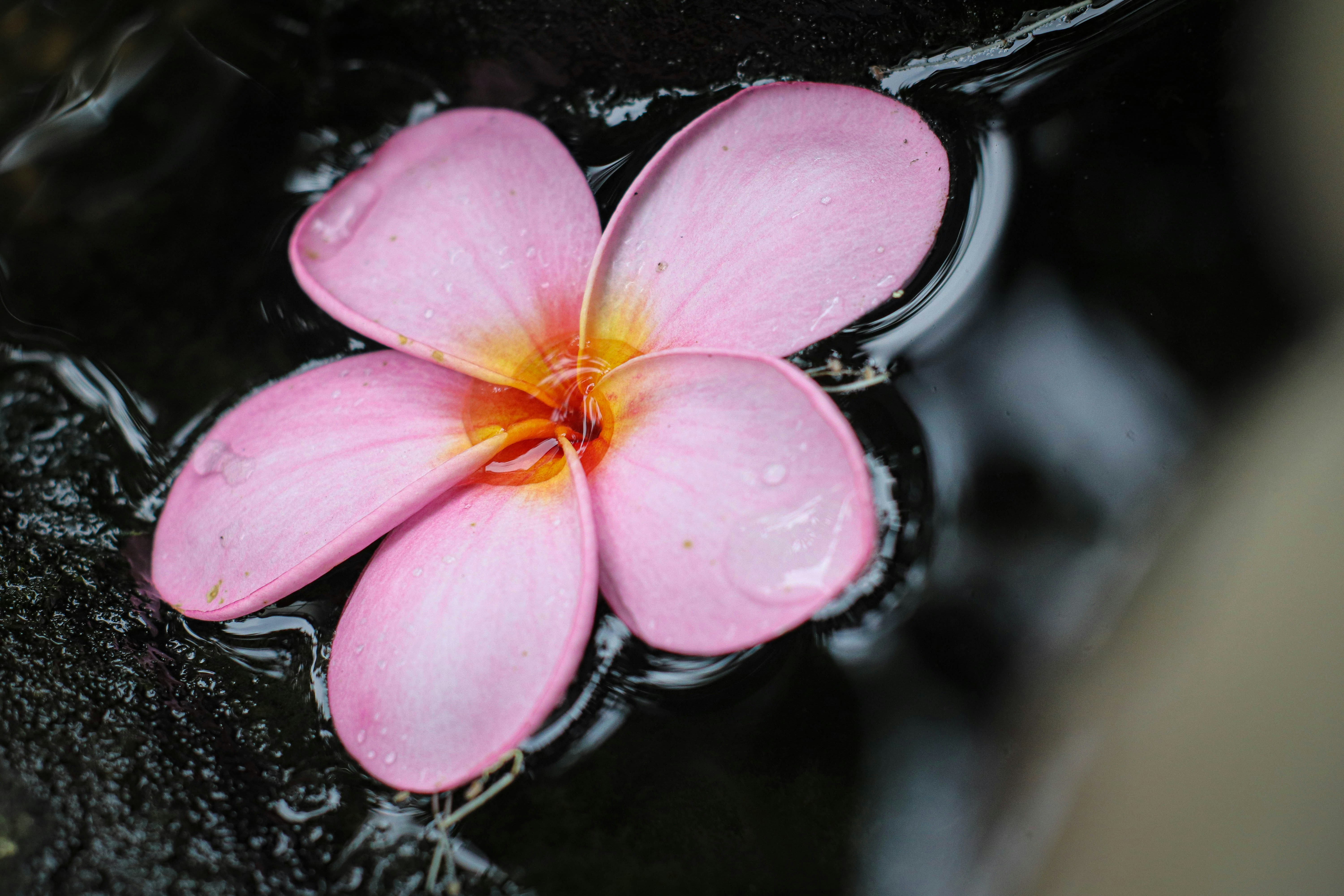 Photo by agusprasetyow