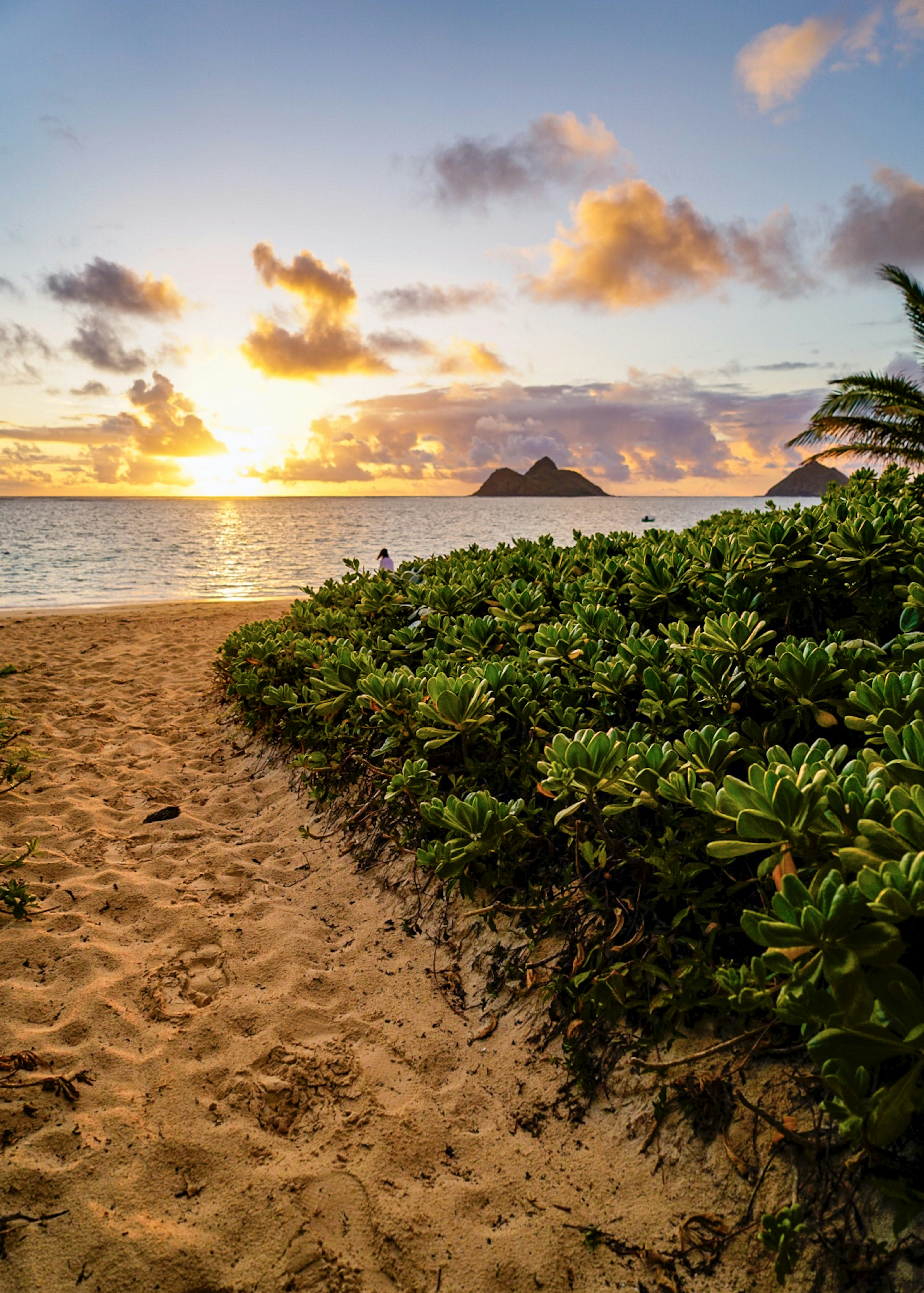 Photo by jess_adventures808