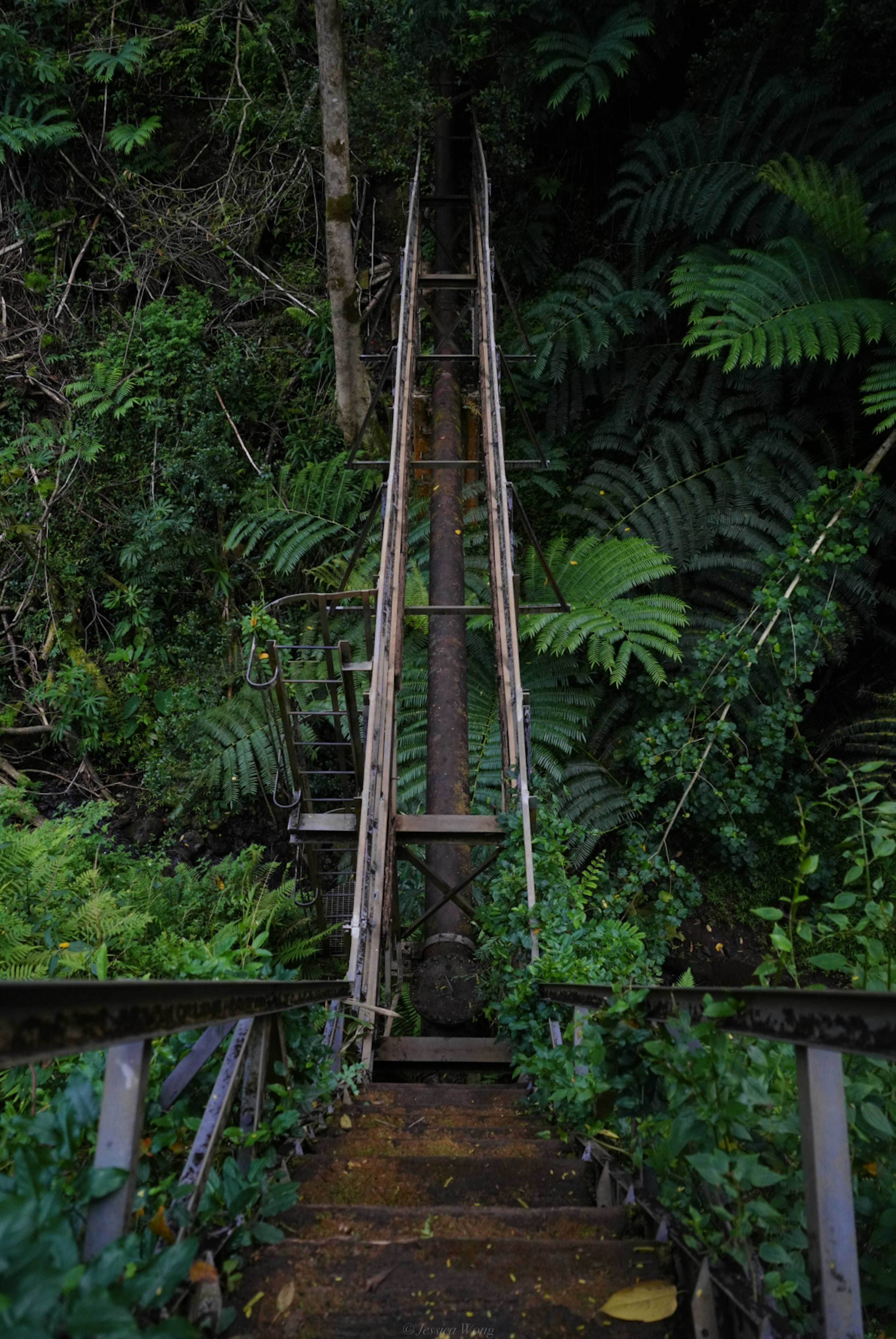 Photo by jess_adventures808