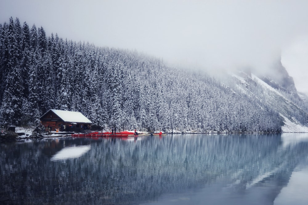 red and white house near body of water during foggy weather