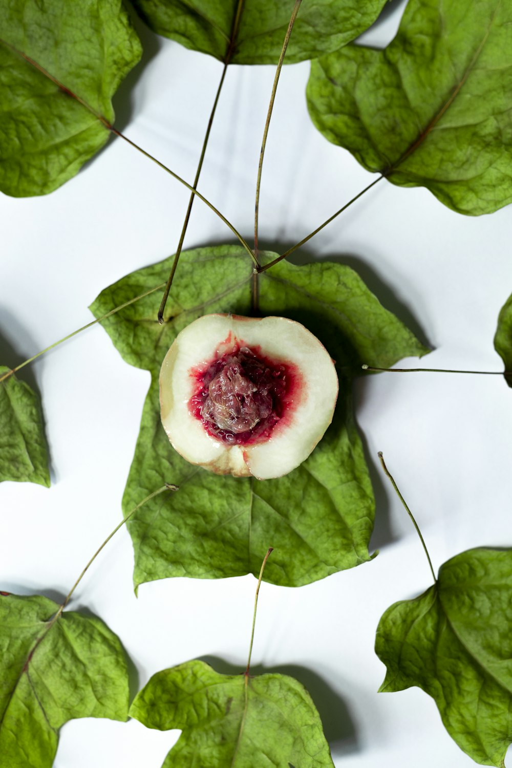 green and red fruit on white surface