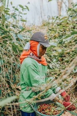 woman in green jacket standing near green plants during daytime