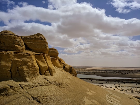 brown rock formation near body of water during daytime in Wadi Al-Hitan (Whale Valley) Egypt