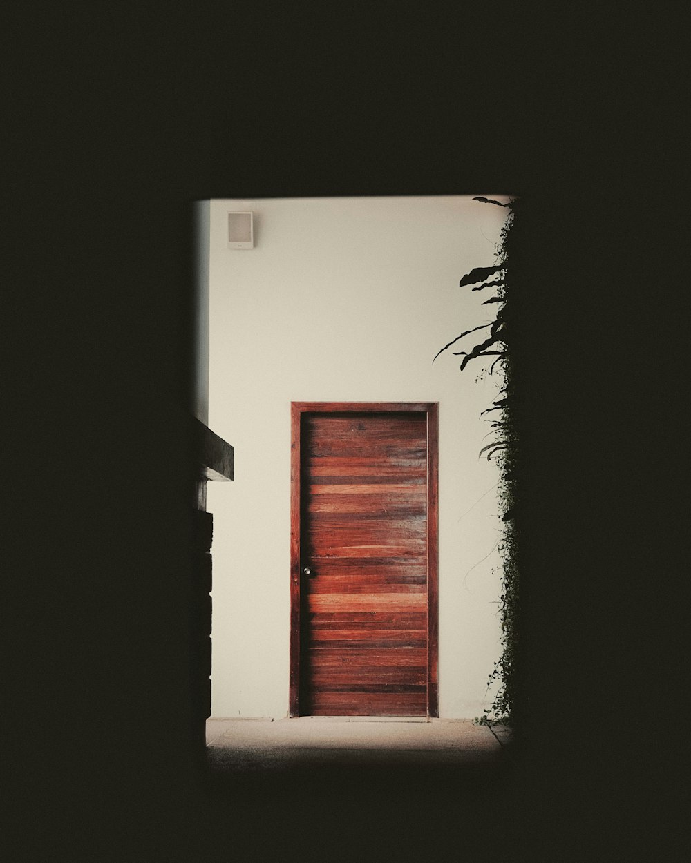 brown wooden door on white concrete wall