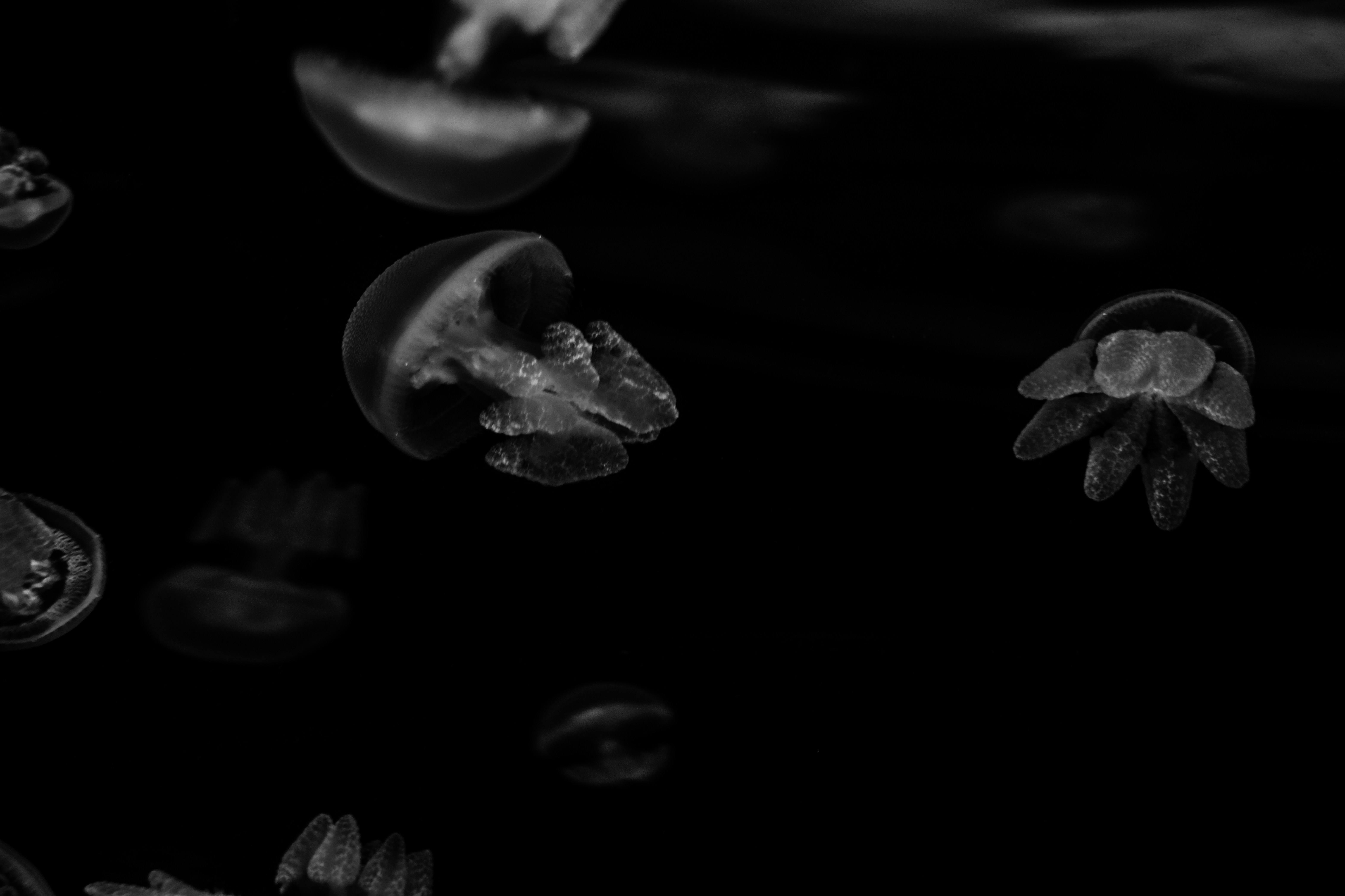 Photo by valeriiamiller